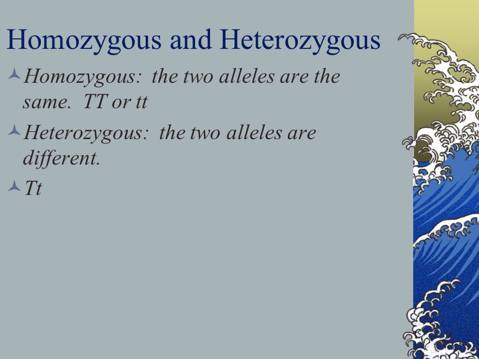 Homozygous and Heterozygous