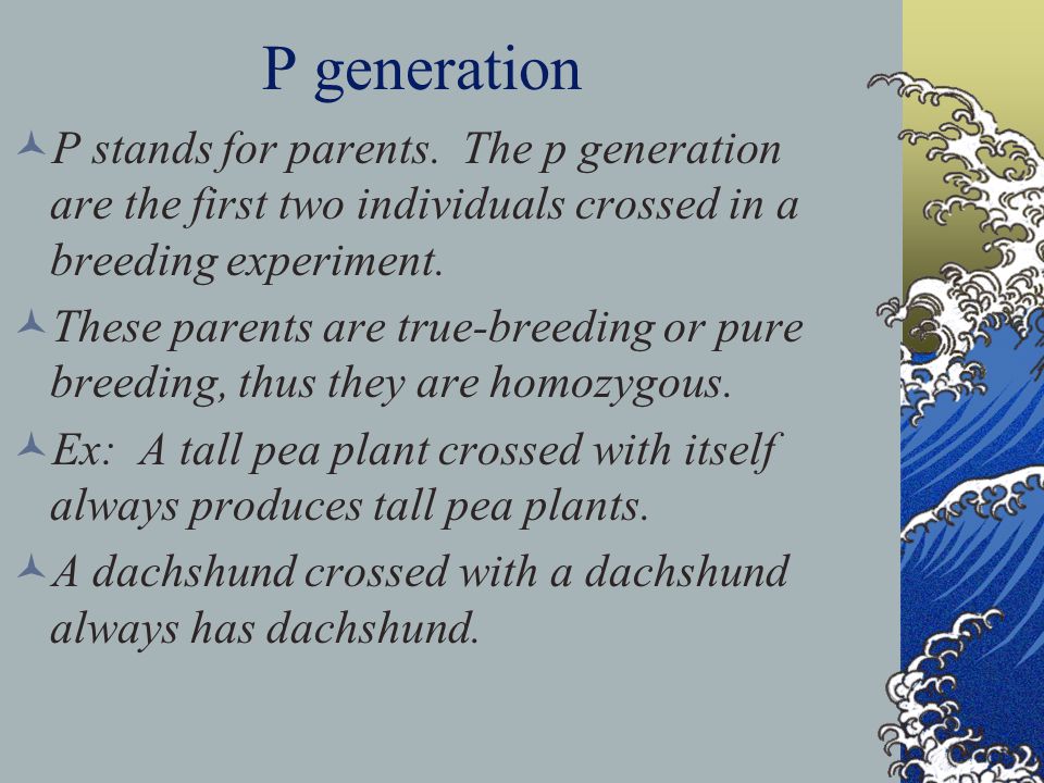 P generation P stands for parents. The p generation are the first two individuals crossed in a breeding experiment.