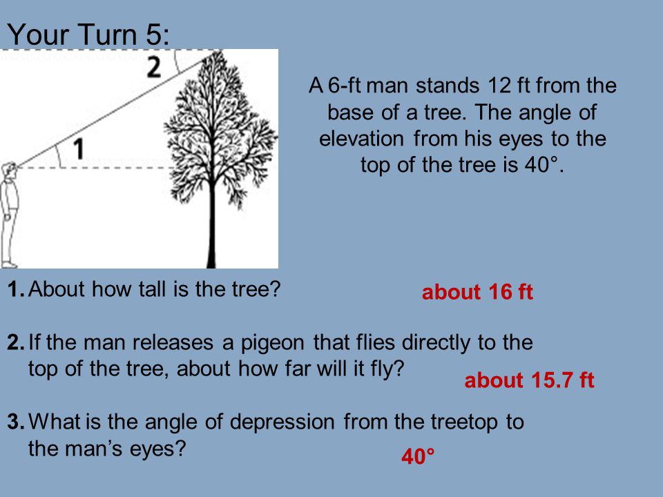 Your Turn 5: A 6-ft man stands 12 ft from the base of a tree. The angle of elevation from his eyes to the top of the tree is 40°.