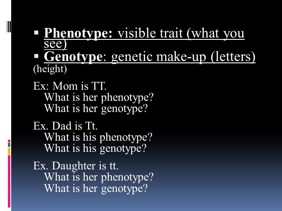 Phenotype: visible trait (what you see)