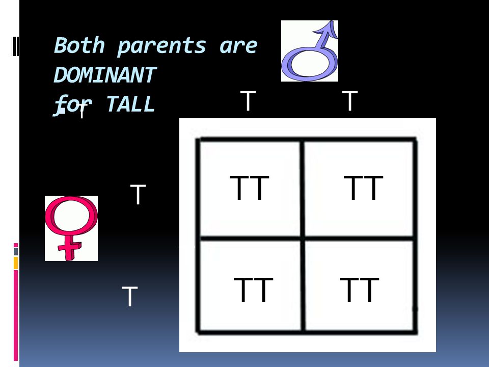 Both parents are DOMINANT for TALL