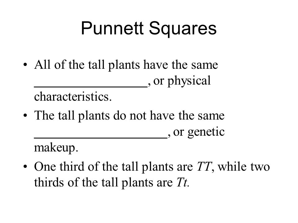 Punnett Squares All of the tall plants have the same _________________, or physical characteristics.