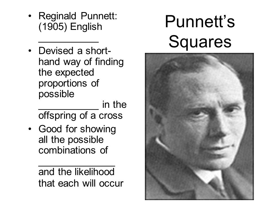 Punnett’s Squares Reginald Punnett: (1905) English ___________