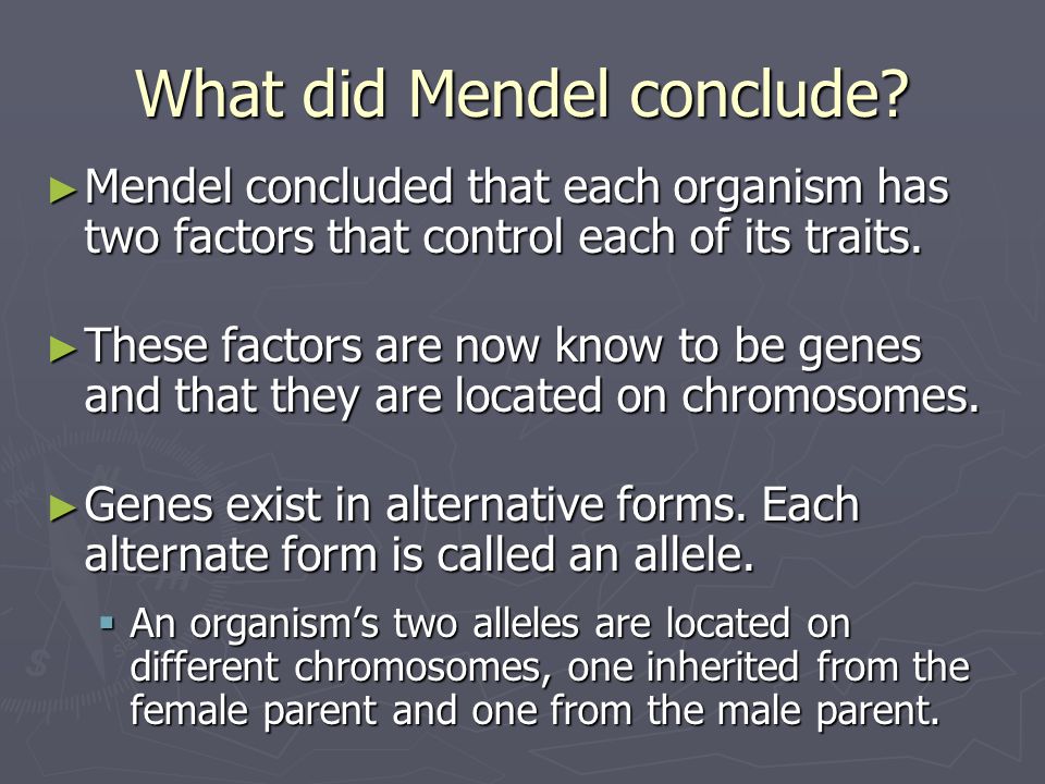 What did Mendel conclude