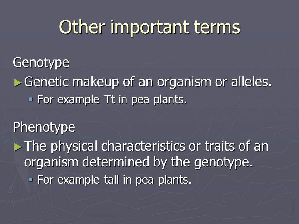 Other important terms Genotype