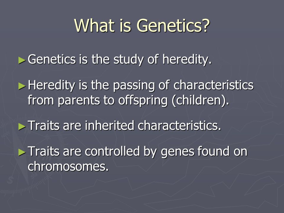 What is Genetics Genetics is the study of heredity.