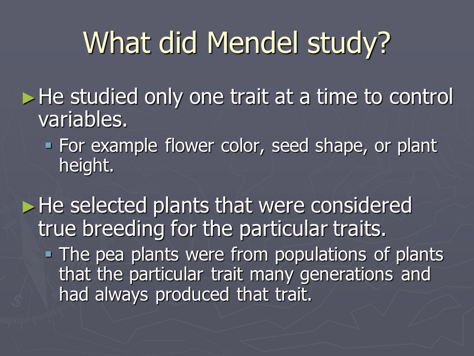 What did Mendel study He studied only one trait at a time to control variables. For example flower color, seed shape, or plant height.