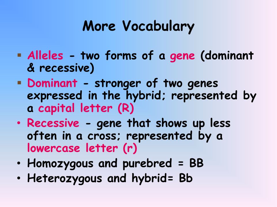 More Vocabulary Alleles - two forms of a gene (dominant & recessive)