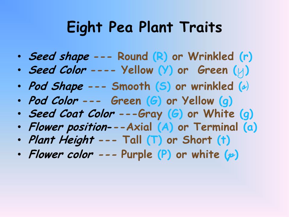 Eight Pea Plant Traits Seed shape --- Round (R) or Wrinkled (r)