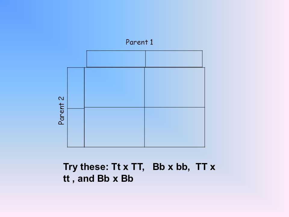 Try these: Tt x TT, Bb x bb, TT x tt , and Bb x Bb