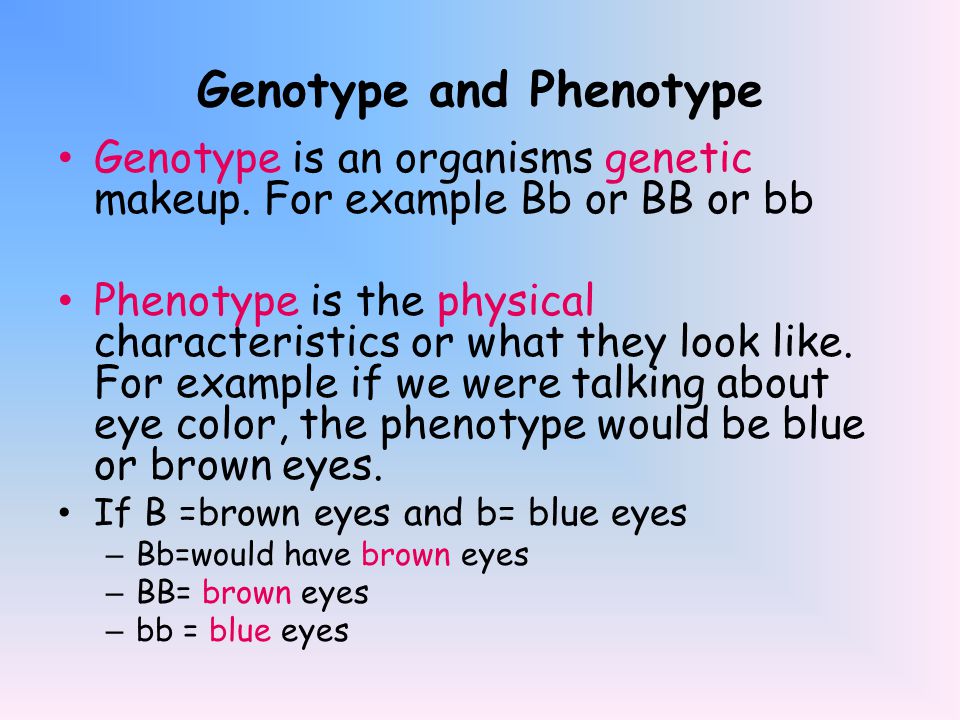 Genotype and Phenotype