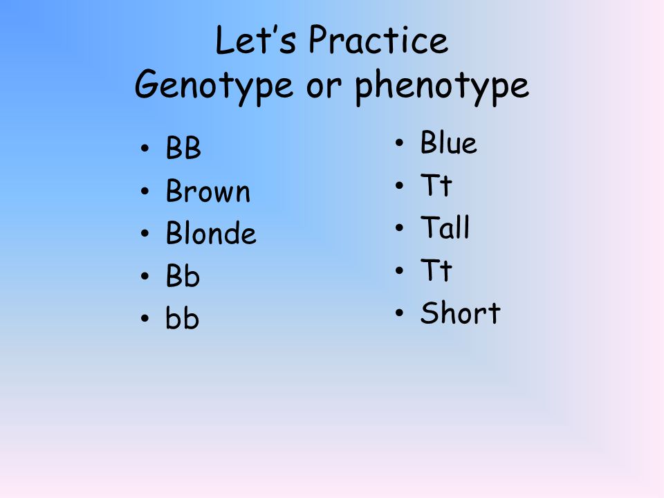 Let’s Practice Genotype or phenotype