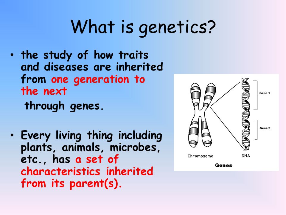 What is genetics the study of how traits and diseases are inherited from one generation to the next.