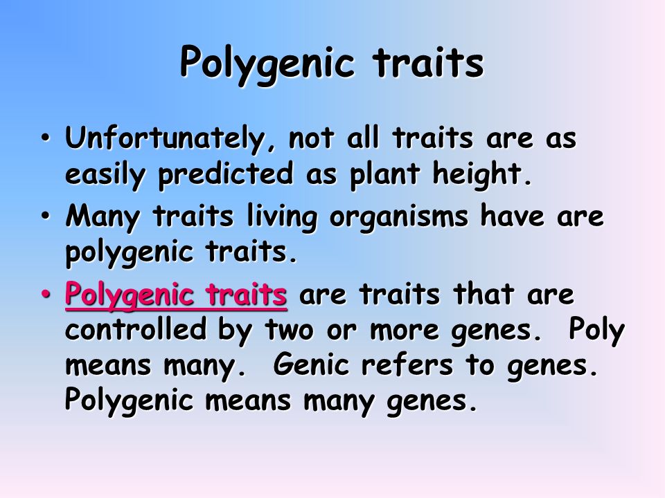 Polygenic traits Unfortunately, not all traits are as easily predicted as plant height. Many traits living organisms have are polygenic traits.