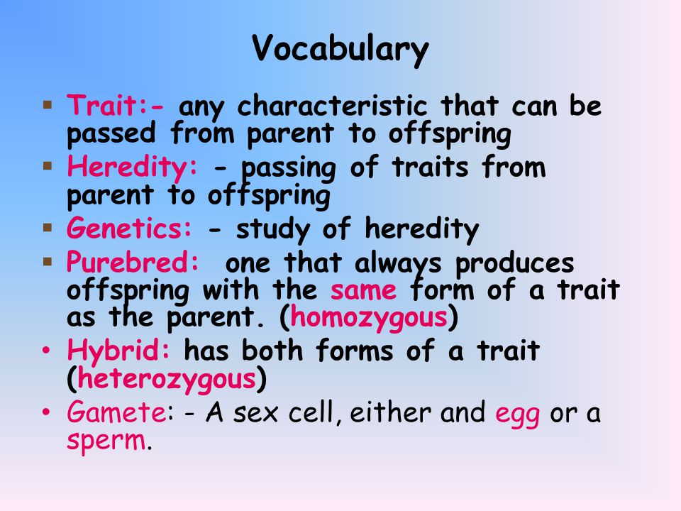 Vocabulary Trait:- any characteristic that can be passed from parent to offspring. Heredity: - passing of traits from parent to offspring.