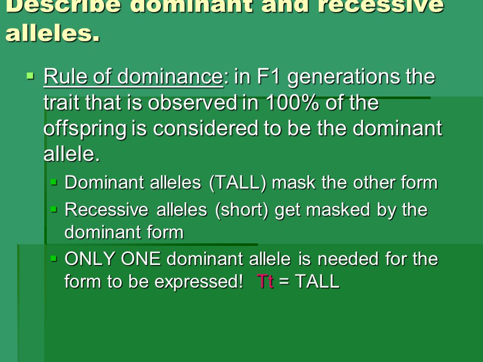 Describe dominant and recessive alleles.