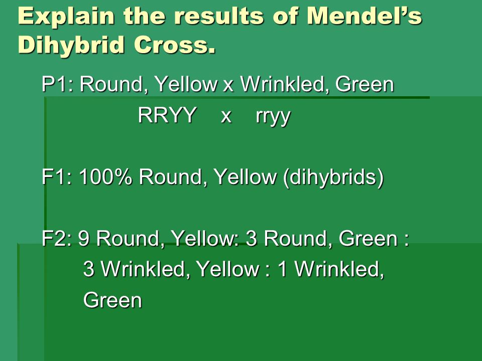 Explain the results of Mendel’s Dihybrid Cross.