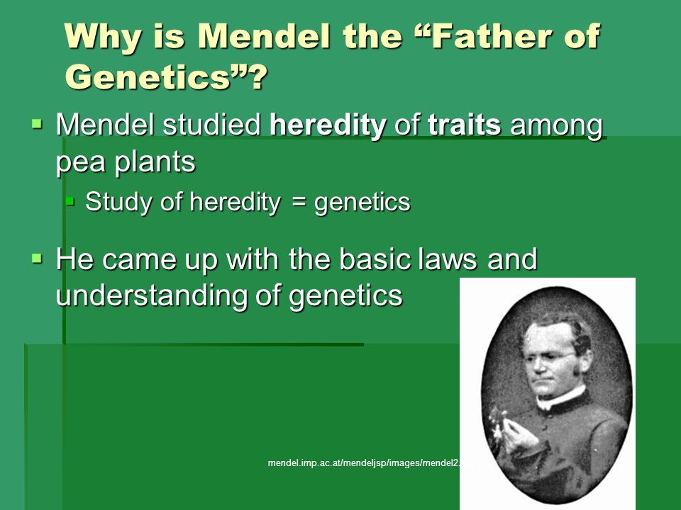 Why is Mendel the Father of Genetics