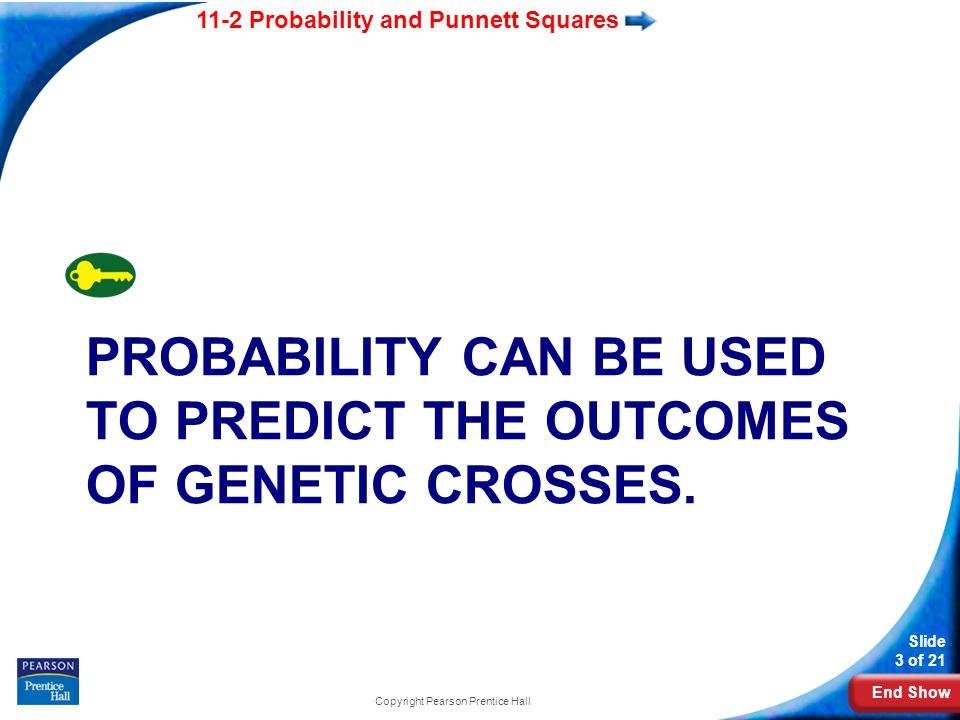 probability can be used to predict the outcomes of genetic crosses.