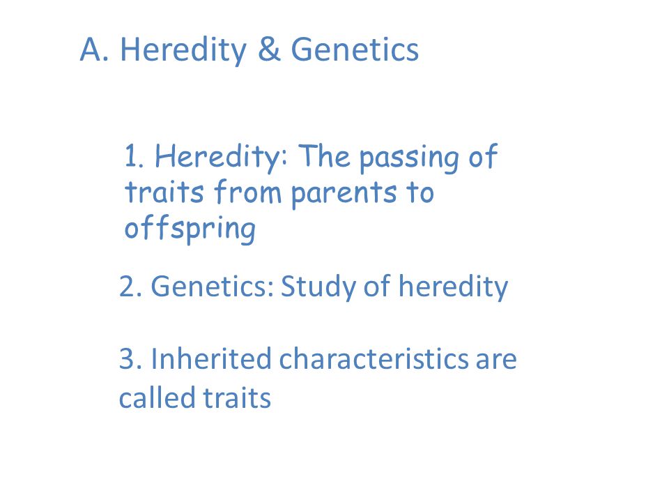 Compare And Contrast Mitosis And Meiosis Venn Diagram