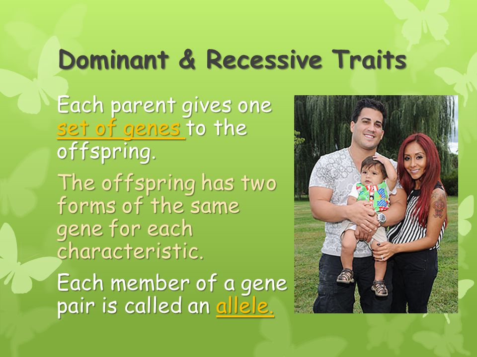what is each member of a gene pair called