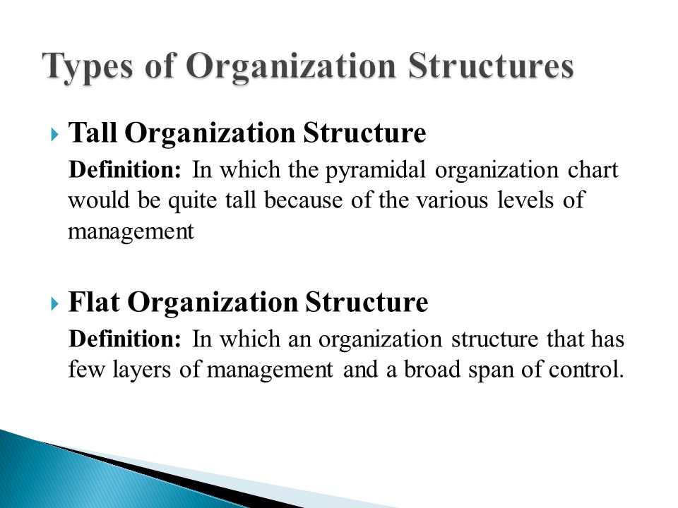 Organization Structures - ppt video online download