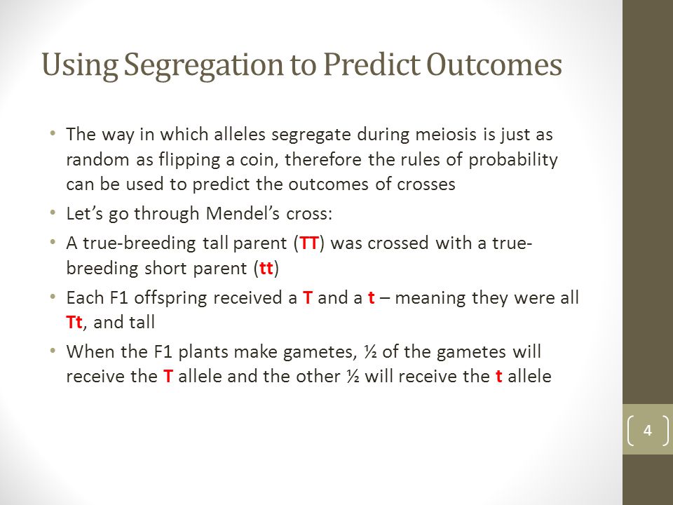 Using Segregation to Predict Outcomes