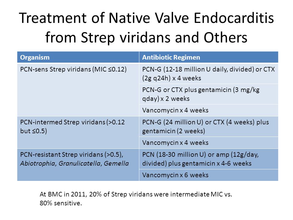 Streptococci And Enterococci Ppt Download