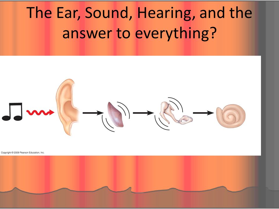 Реж щий слух звук. Звук проникает в ухо. Ухо и звук картинка. Ухо и звук картинка для презентации. Звук для уха максимально.