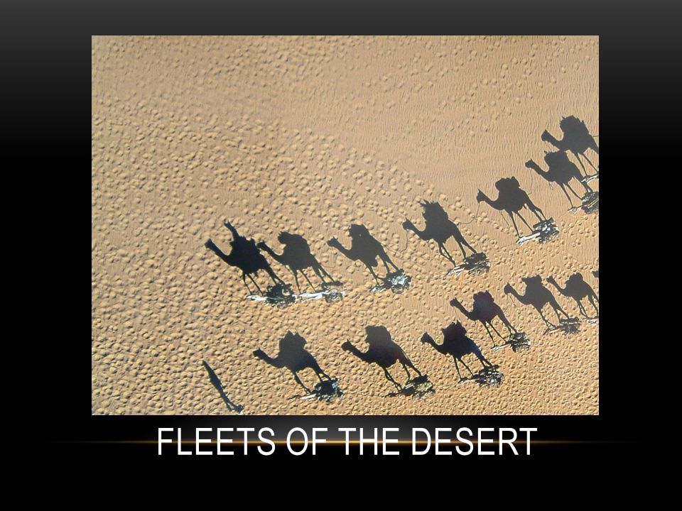Fleets of the Desert