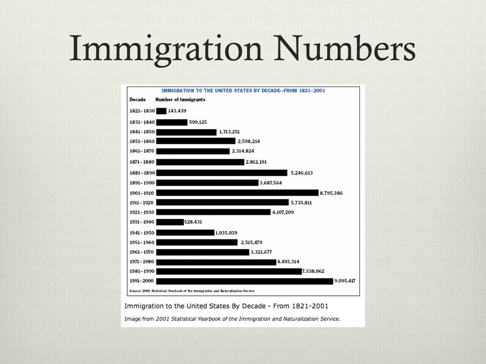 Immigration Numbers