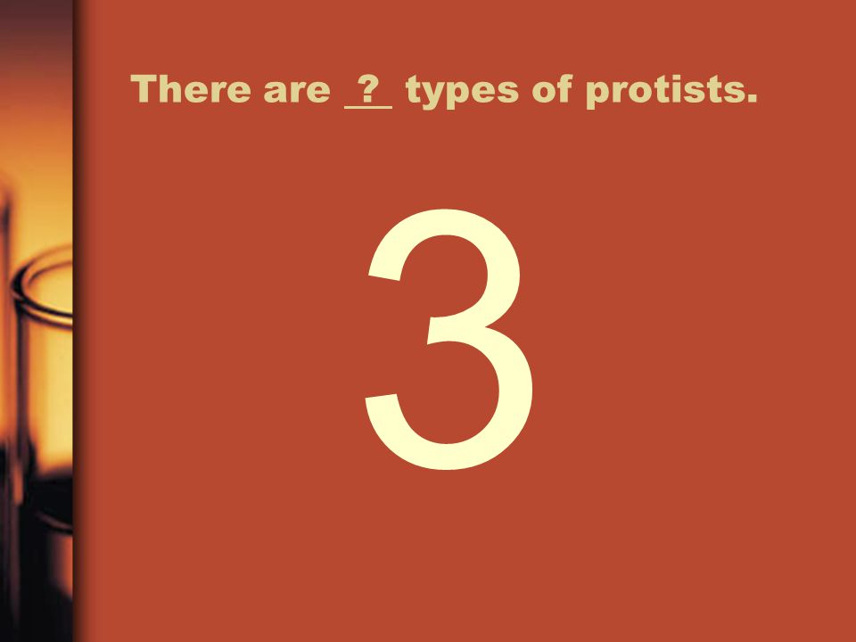 There are types of protists.