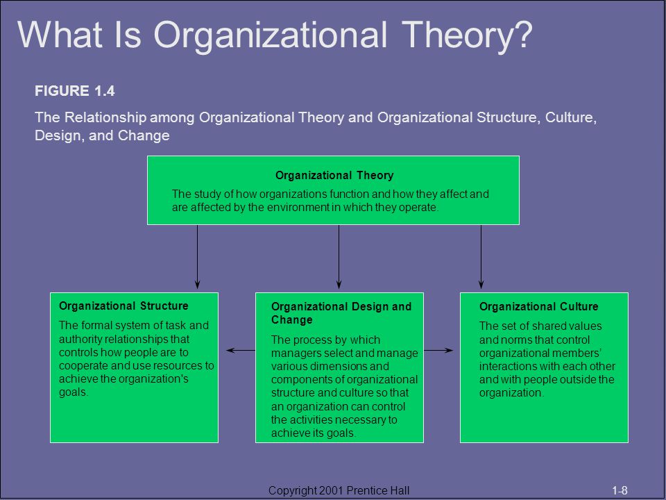 What Is Organizational Theory? - ppt video online download
