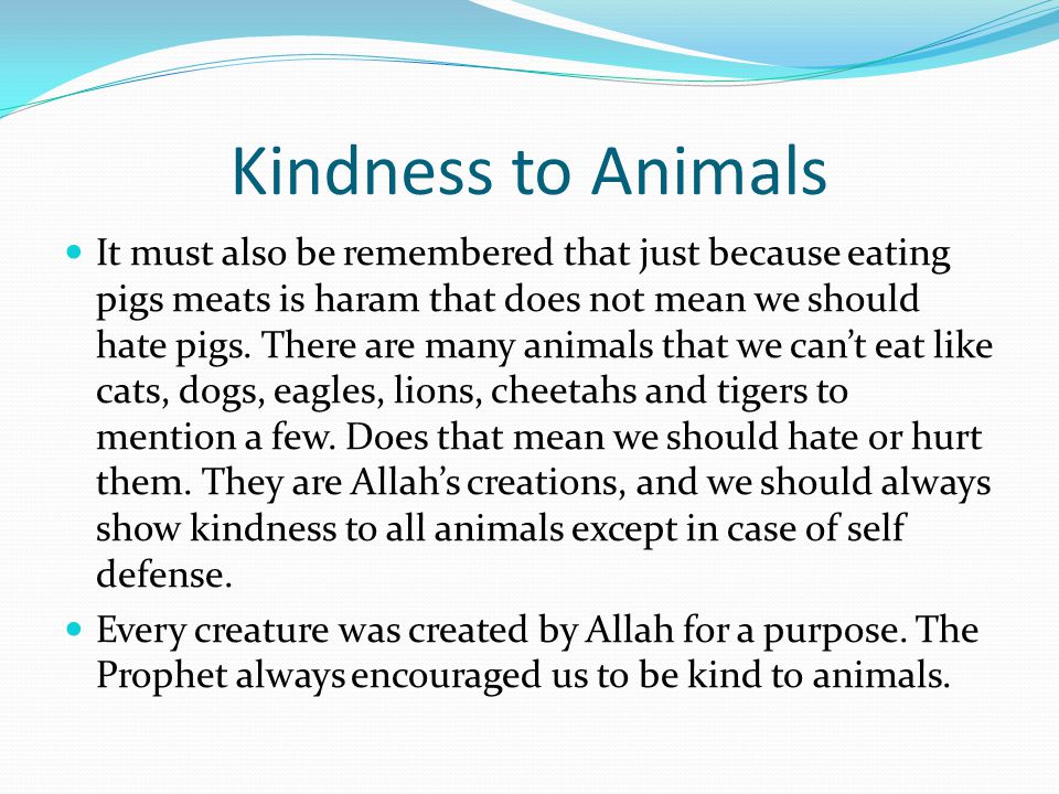 Dangerous Life Style!! Pork and Other Haram Meats - ppt video online  download