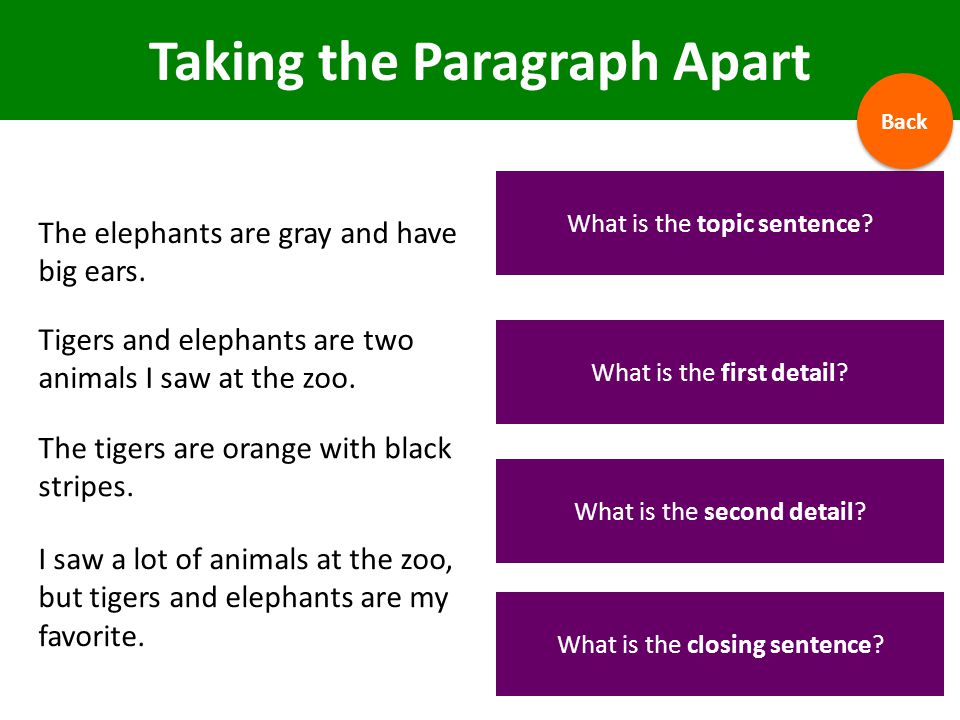 Taking the Paragraph Apart