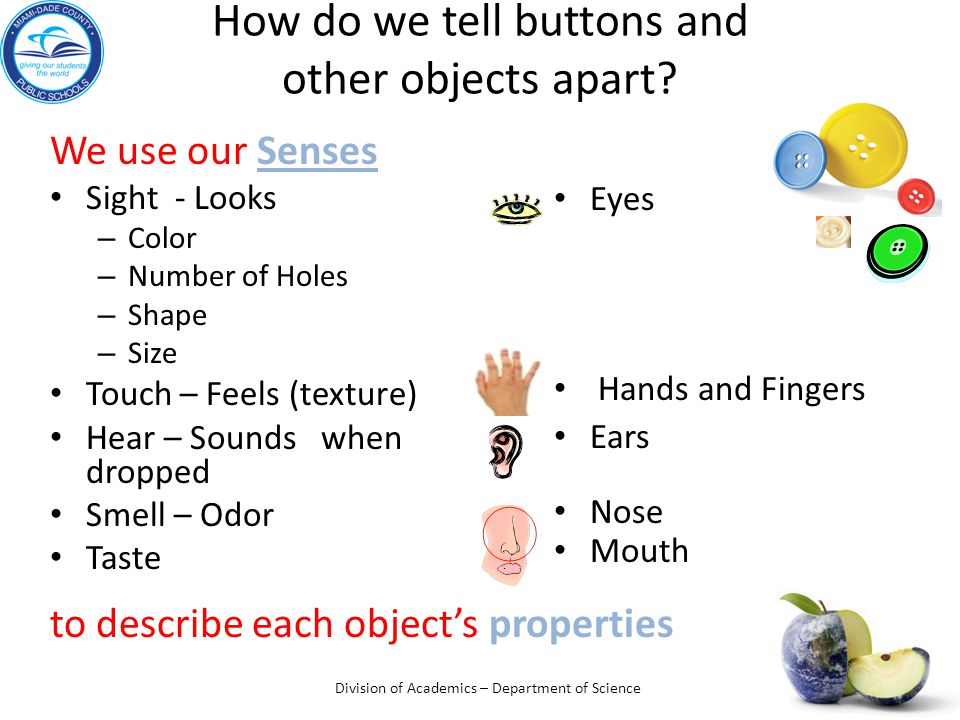 How do we tell buttons and other objects apart