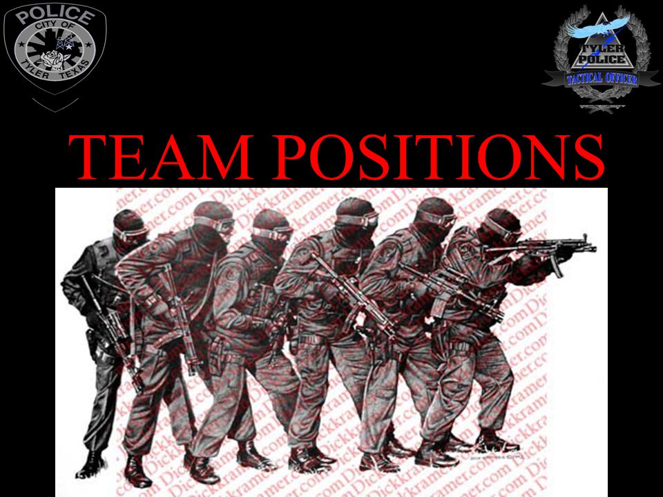 TEAM POSITIONS
