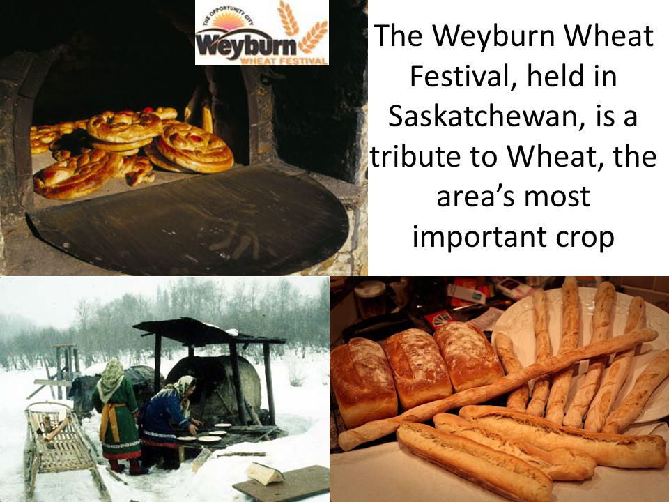 The Weyburn Wheat Festival, held in Saskatchewan, is a tribute to Wheat, the area’s most important crop