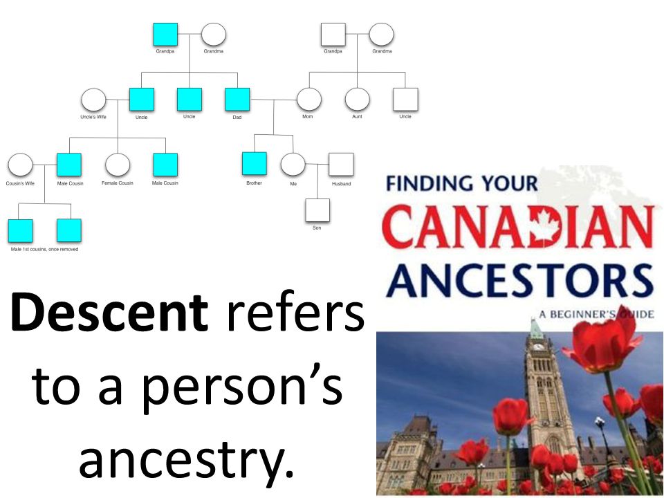 Descent refers to a person’s ancestry.