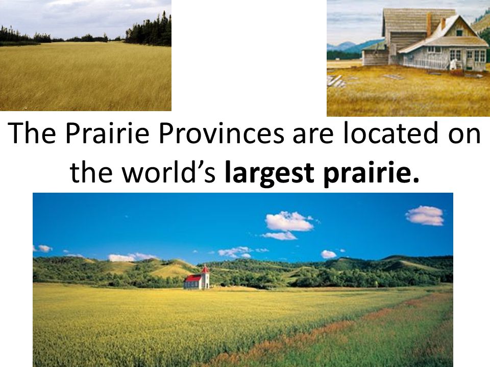 The Prairie Provinces are located on the world’s largest prairie.