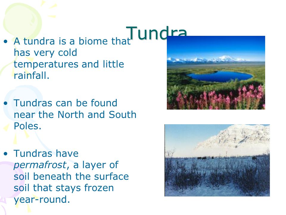 Tundra A tundra is a biome that has very cold temperatures and little rainfall. Tundras can be found near the North and South Poles.