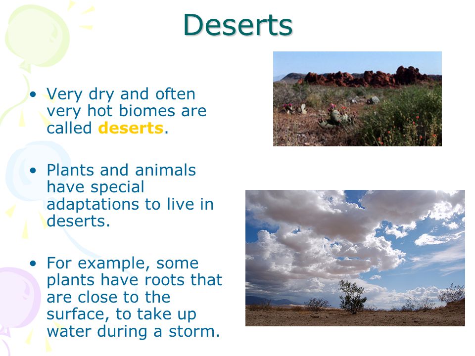 Deserts Very dry and often very hot biomes are called deserts.