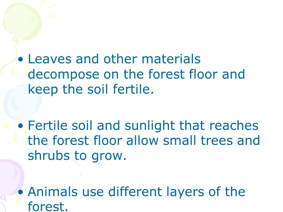 Leaves and other materials decompose on the forest floor and keep the soil fertile.