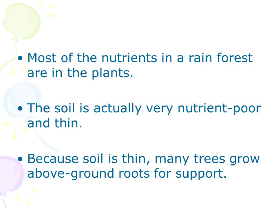 Most of the nutrients in a rain forest are in the plants.