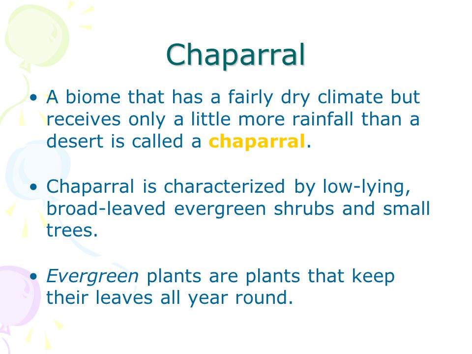 Chaparral A biome that has a fairly dry climate but receives only a little more rainfall than a desert is called a chaparral.