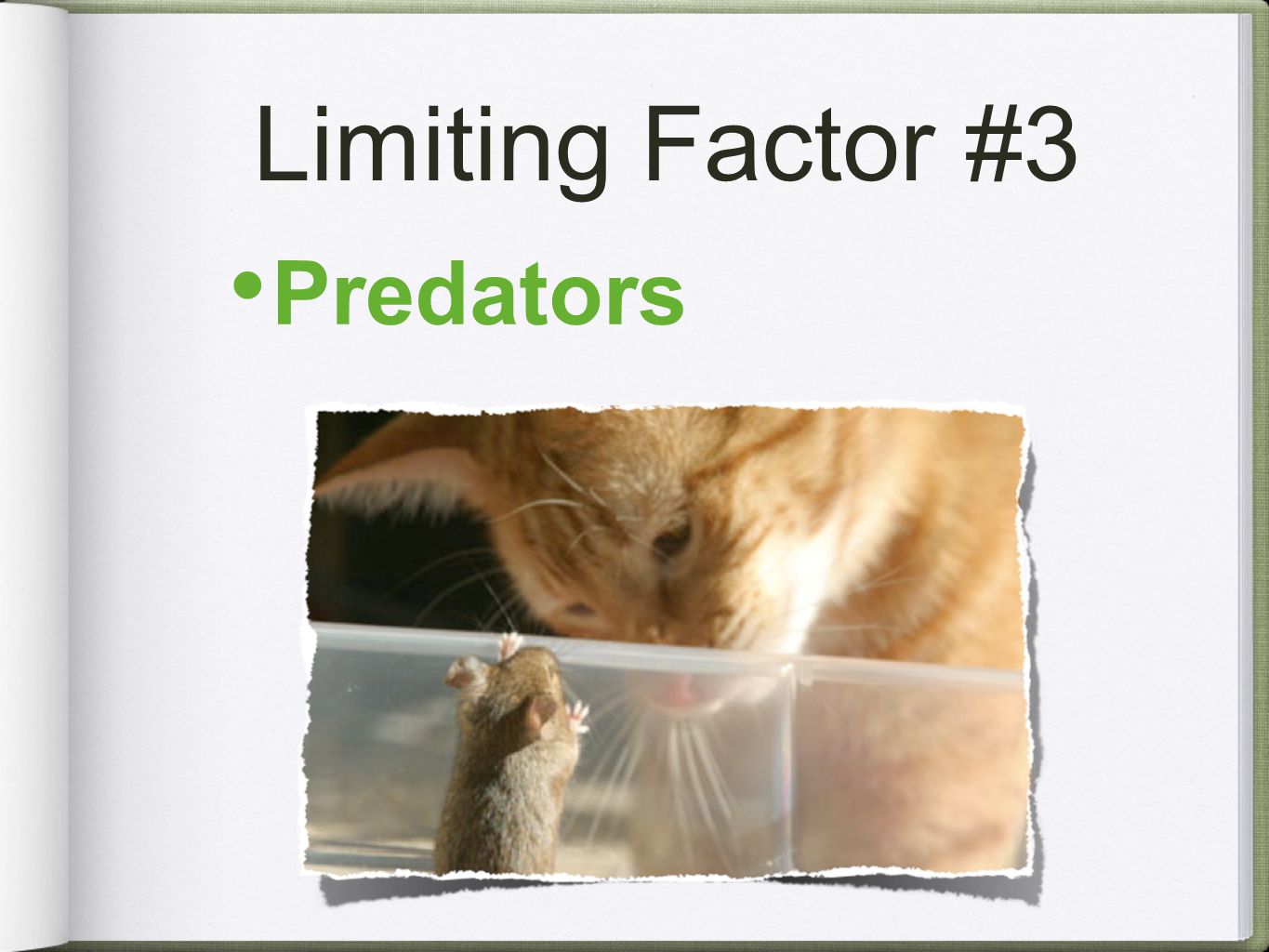 Limiting Factor #3 Predators