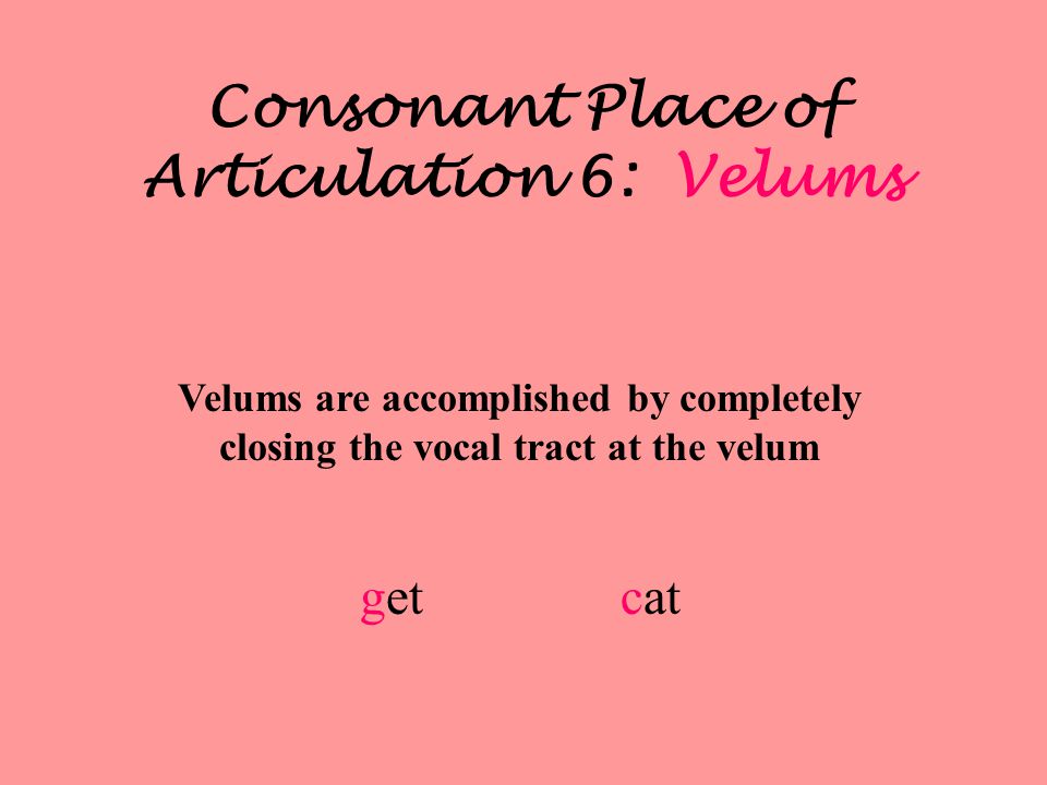 Consonant Place of Articulation 6: Velums