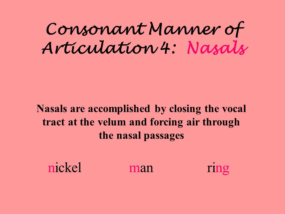 Consonant Manner of Articulation 4: Nasals