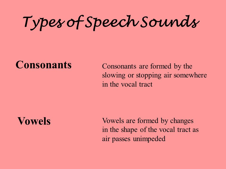 Types of Speech Sounds Consonants Vowels