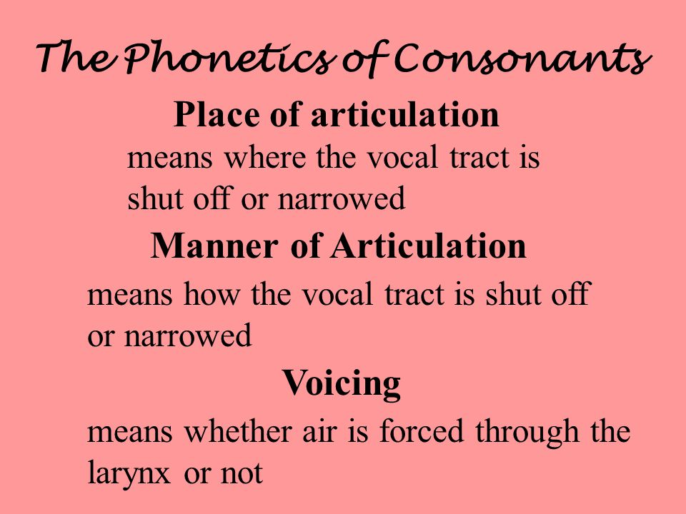 The Phonetics of Consonants